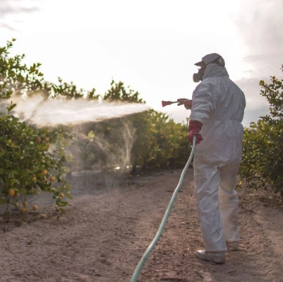 Pest Control Turramurra